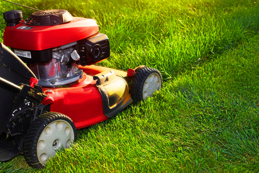 About The Lawn Mowing Franchise Business in Australia