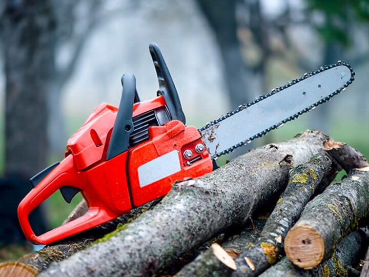 Acknowledge yourself about how regular tree services can increase your safety