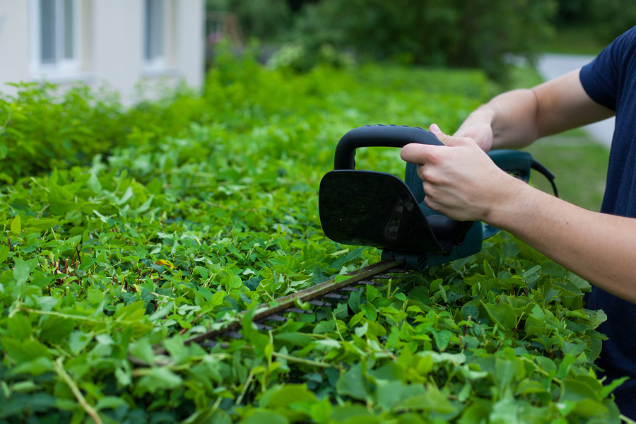 Occasional Garden Maintenance Services For a Beautiful Garden