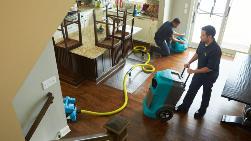 Why pick a reputable water damage repair company