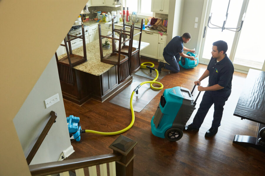 Why pick a reputable water damage repair company