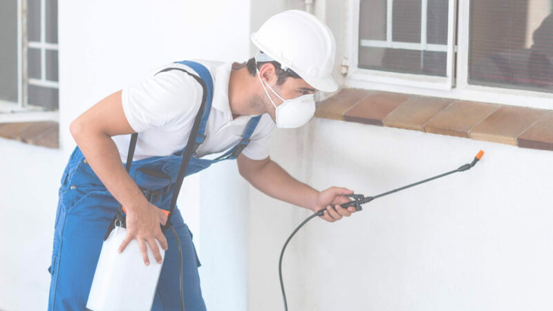What are the benefits of having the best type of pest service?