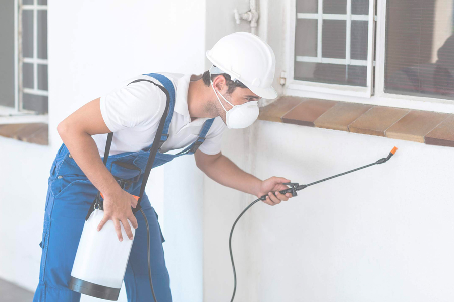 What are the benefits of having the best type of pest service?