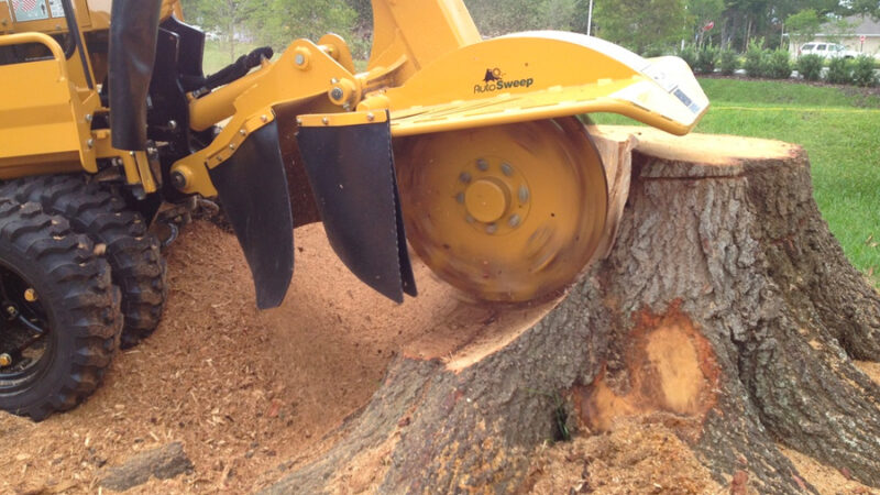 The basic factors about the advantages of hiring stump grinding services in Orlando