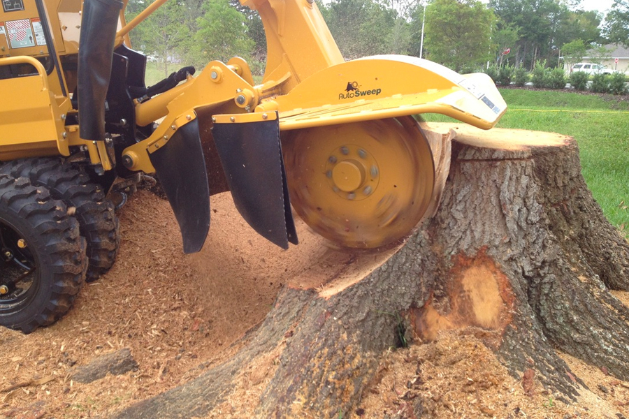 The basic factors about the advantages of hiring stump grinding services in Orlando