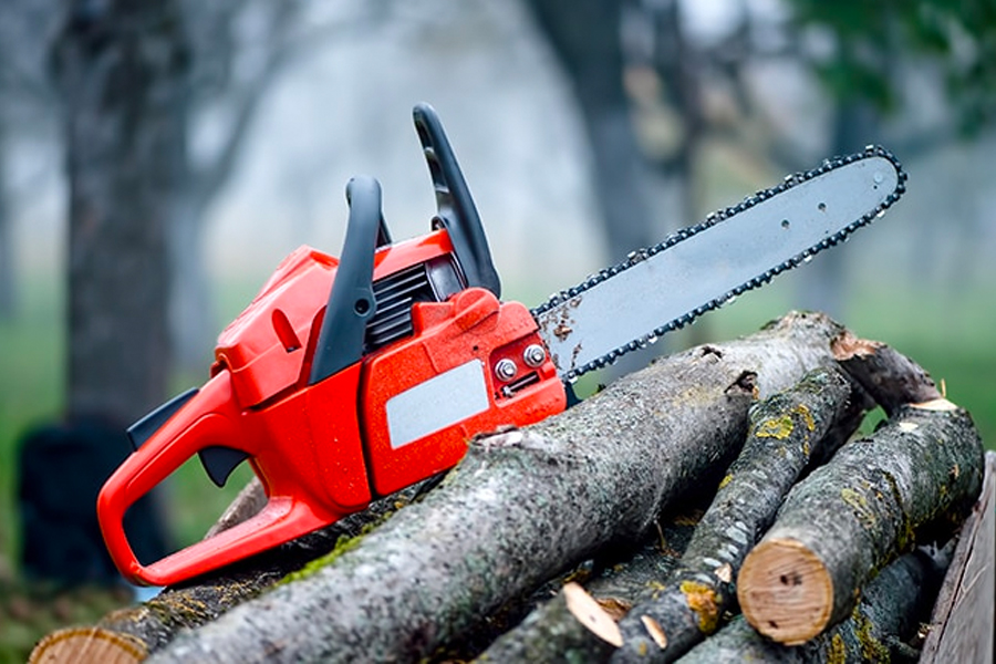 Acknowledge yourself about how regular tree services can increase your safety