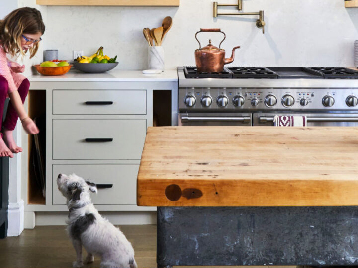 How Can You Style a Pet-Friendly Kitchen?