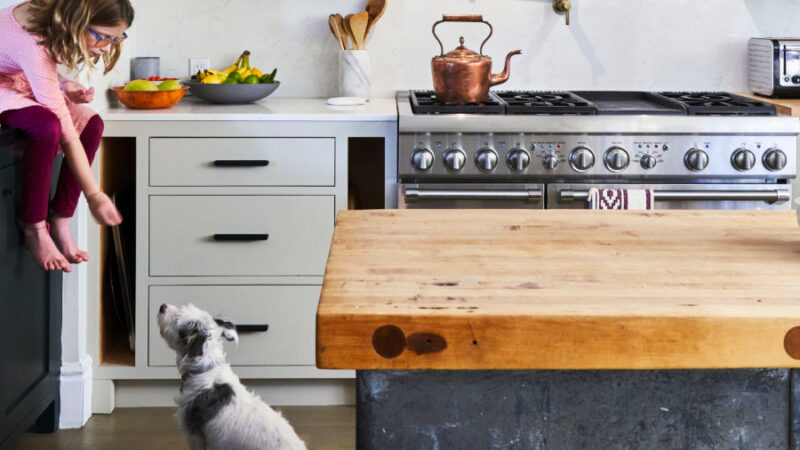 How Can You Style a Pet-Friendly Kitchen?