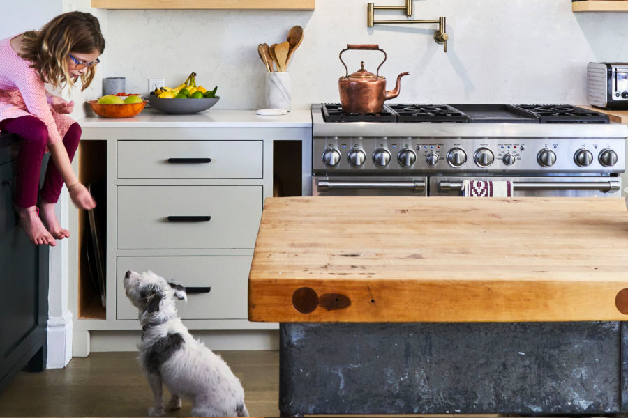 How Can You Style a Pet-Friendly Kitchen?