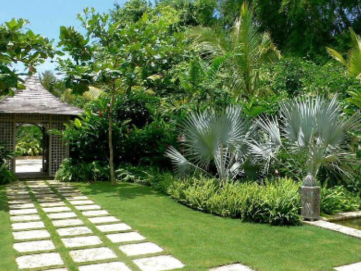 Keep Your Garden in Shape with Garden Maintenance in Wahroonga