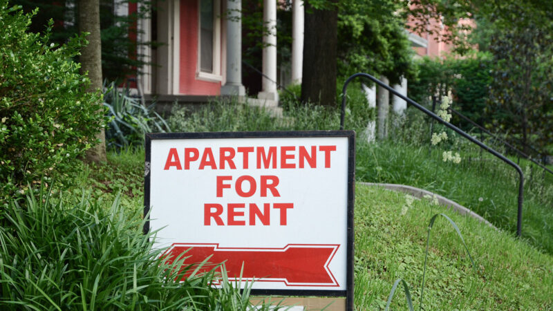 Important reasons why it is best to go with the apartment choice!