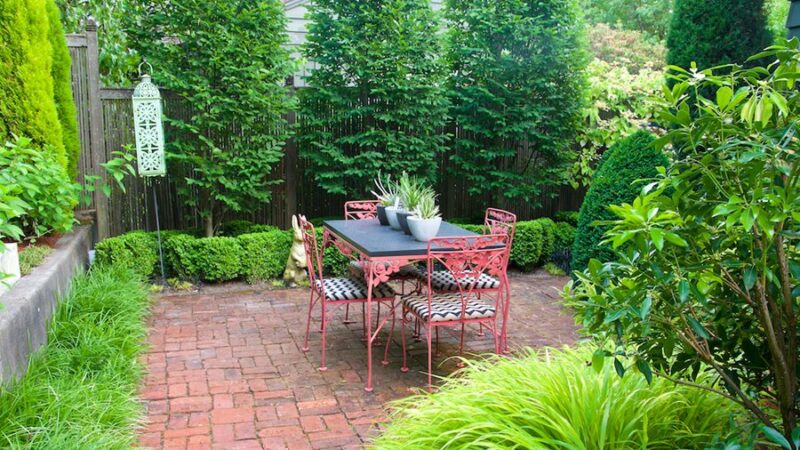 Interesting Facts About Backyard Landscaping