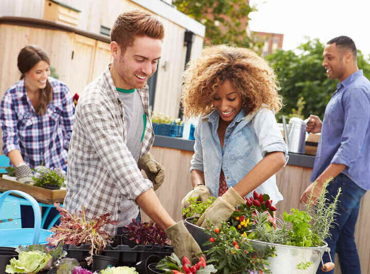Mark Roemer Oakland Looks at The Best Cities for Gardening in California