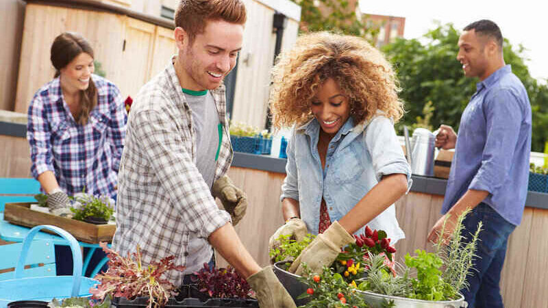 Mark Roemer Oakland Looks at The Best Cities for Gardening in California