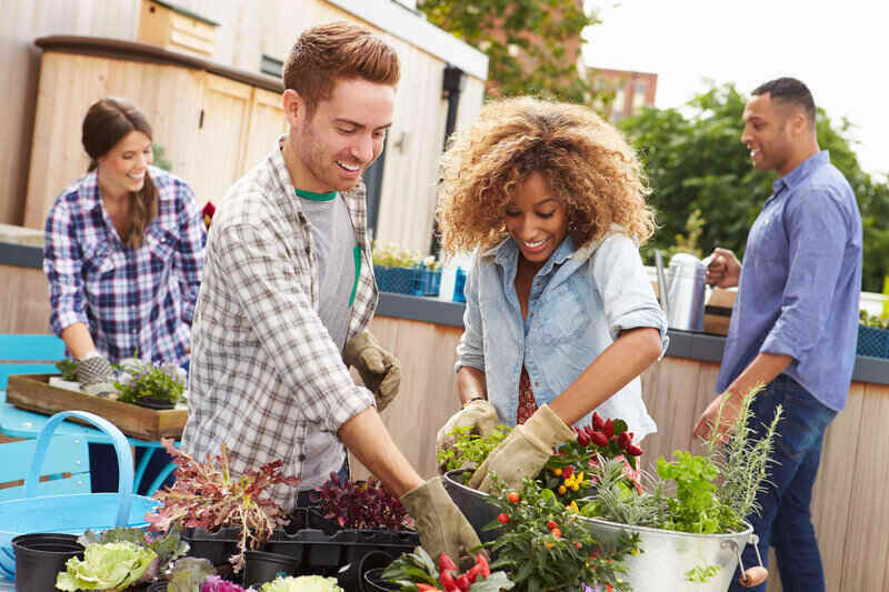 Mark Roemer Oakland Looks at The Best Cities for Gardening in California