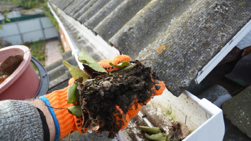 Gutter Cleaning: Why It Is More Important Than You Imagine