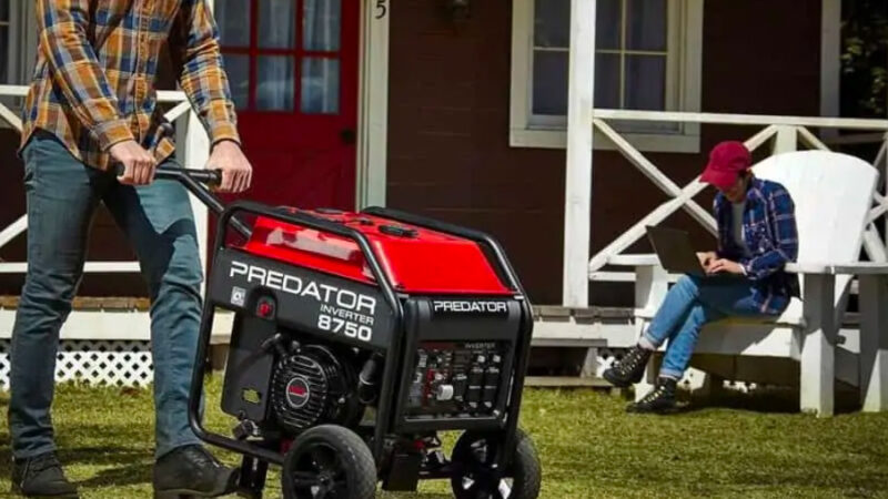 What does it mean to own the predator 8750 portable generators?