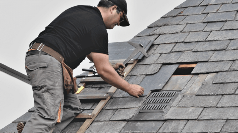 Roof Repair—What Do You Need to Know?