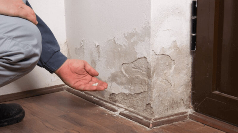 Suffering from water damage on your property?