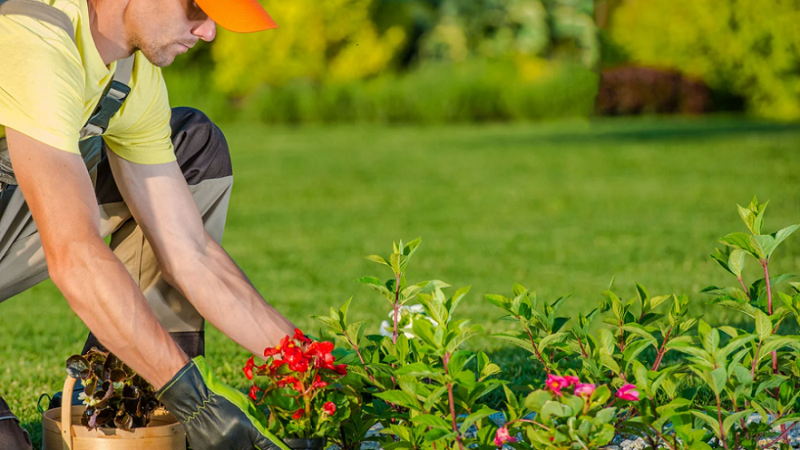 How Can a Professional Landscaping Company Help Homeowners?