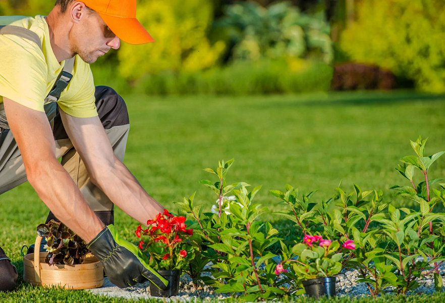 How Can a Professional Landscaping Company Help Homeowners?