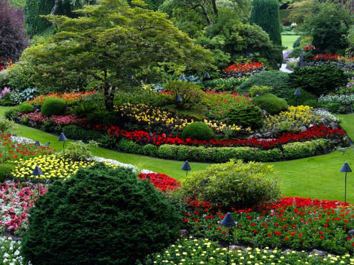 How to Ensure Choosing the Right Landscaping Design Firm