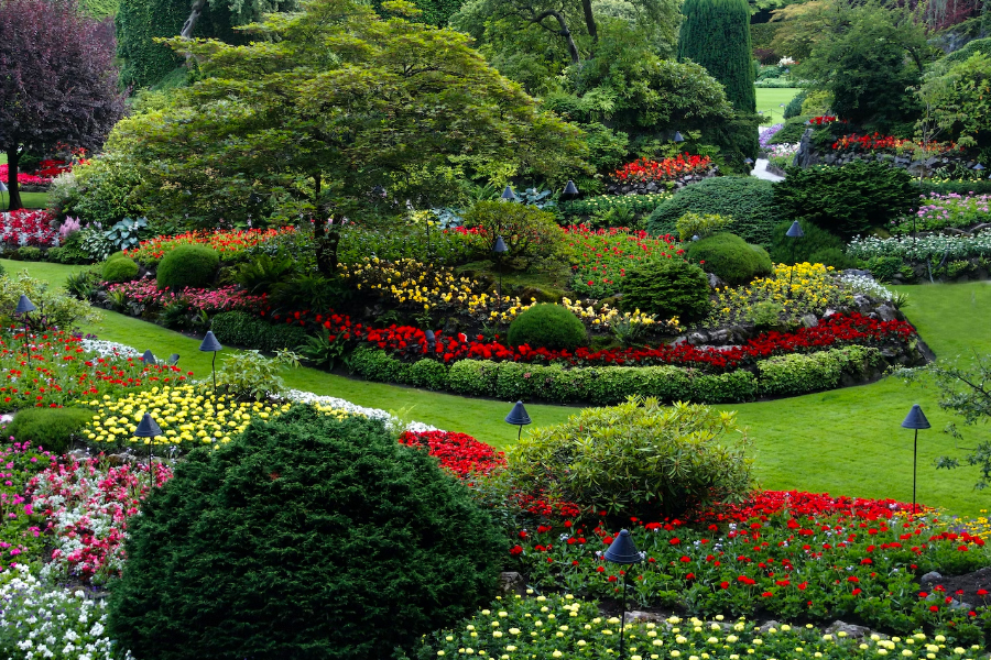 How to Ensure Choosing the Right Landscaping Design Firm