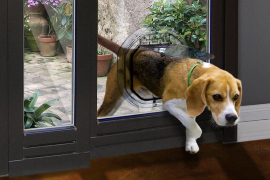 The Hows and Whys of Pet Door Installation in Auckland