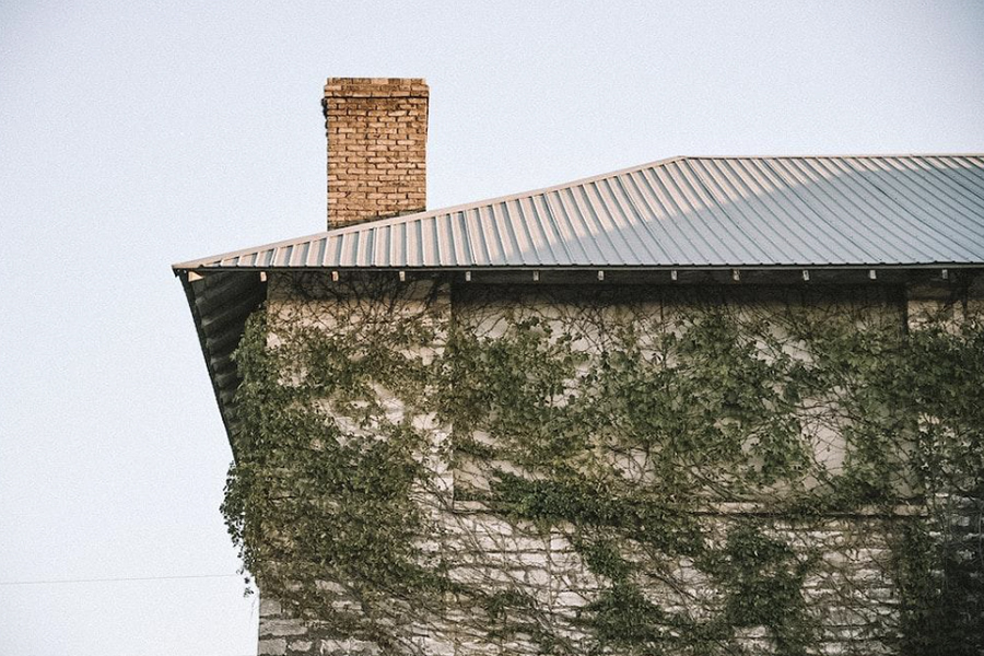 A house covered in plants with a brick chimney