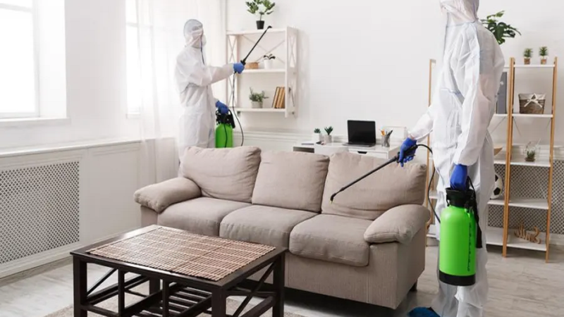 Pest Control Tips for Different Types of Homes