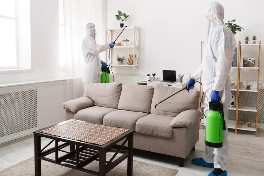Pest Control Tips for Different Types of Homes