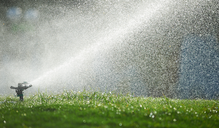 Avoid Dry Patches with Smart Help from Expert Sprinkler Repair Pros