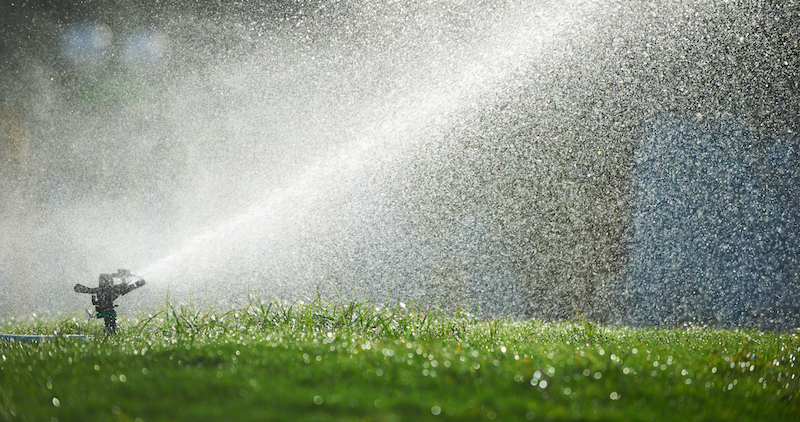 Avoid Dry Patches with Smart Help from Expert Sprinkler Repair Pros