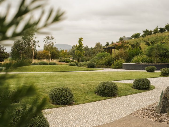 Sustainable Landscaping: Beautify Your Outdoor Space While Protecting the Environment