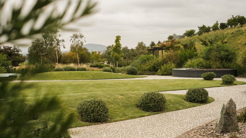 Sustainable Landscaping: Beautify Your Outdoor Space While Protecting the Environment