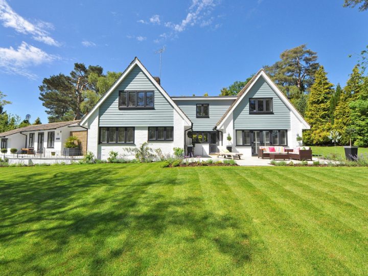 A Different Kind of Lawn Care Service in Annandale, VA: Focused on Soil Health and Stronger Lawns