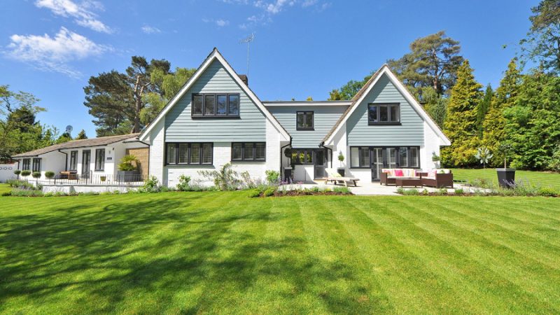 A Different Kind of Lawn Care Service in Annandale, VA: Focused on Soil Health and Stronger Lawns