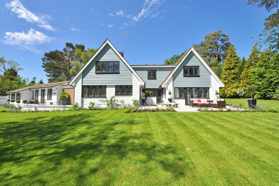 A Different Kind of Lawn Care Service in Annandale, VA: Focused on Soil Health and Stronger Lawns