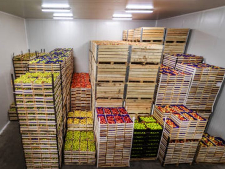 Reliable Cold Storage Construction Solutions for the Chinese Food Industry