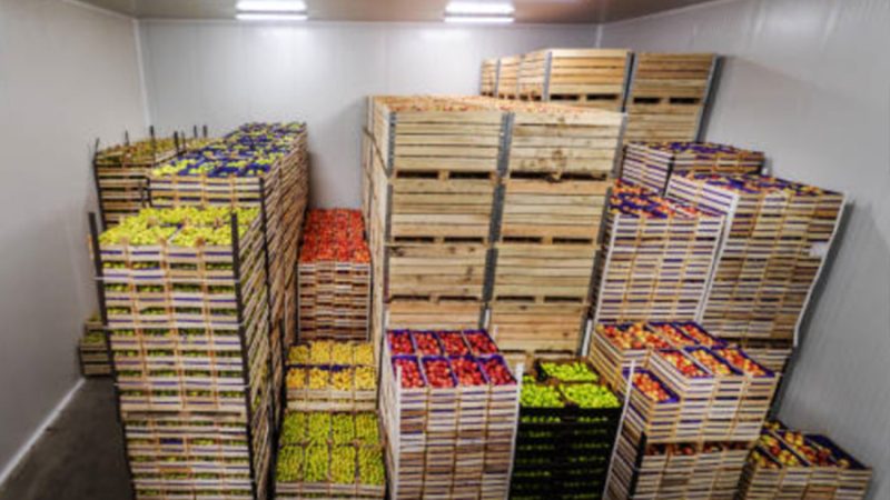 Reliable Cold Storage Construction Solutions for the Chinese Food Industry