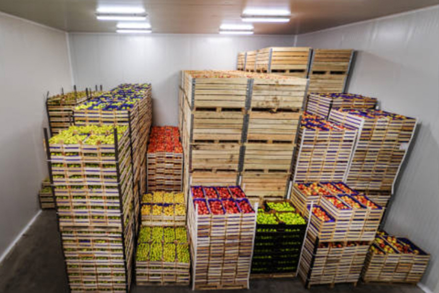 Reliable Cold Storage Construction Solutions for the Chinese Food Industry