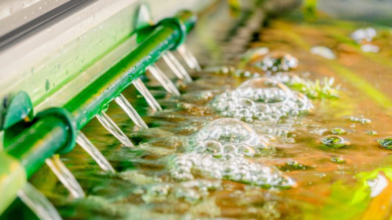 5 Quick and Easy Tricks to Improve Your Aquarium Filter