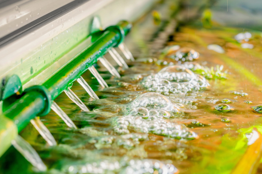 5 Quick and Easy Tricks to Improve Your Aquarium Filter